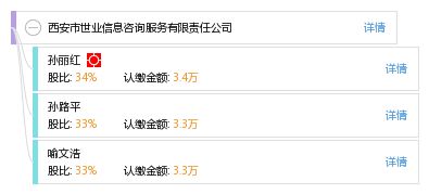 信息咨詢服務的專業提供者 西安市世業信息咨詢服務有限責任公司