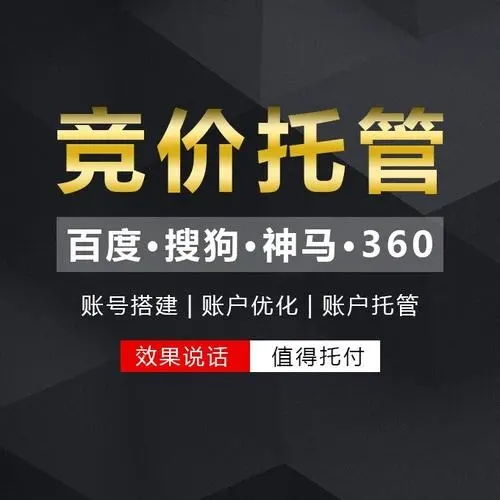 東莞網站競價推廣代運營與信息咨詢服務詳解