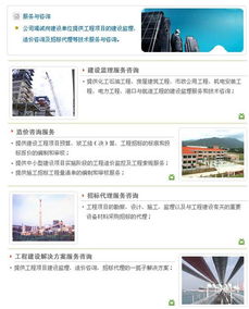 信息咨詢服務(wù) 專業(yè)、高效、定制化解決方案